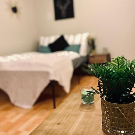 Saniertes Studio - Elisa - Mit Balkon, Wlan, Smart-Tv & Kueche In City-Naehe Erfurt Extérieur photo