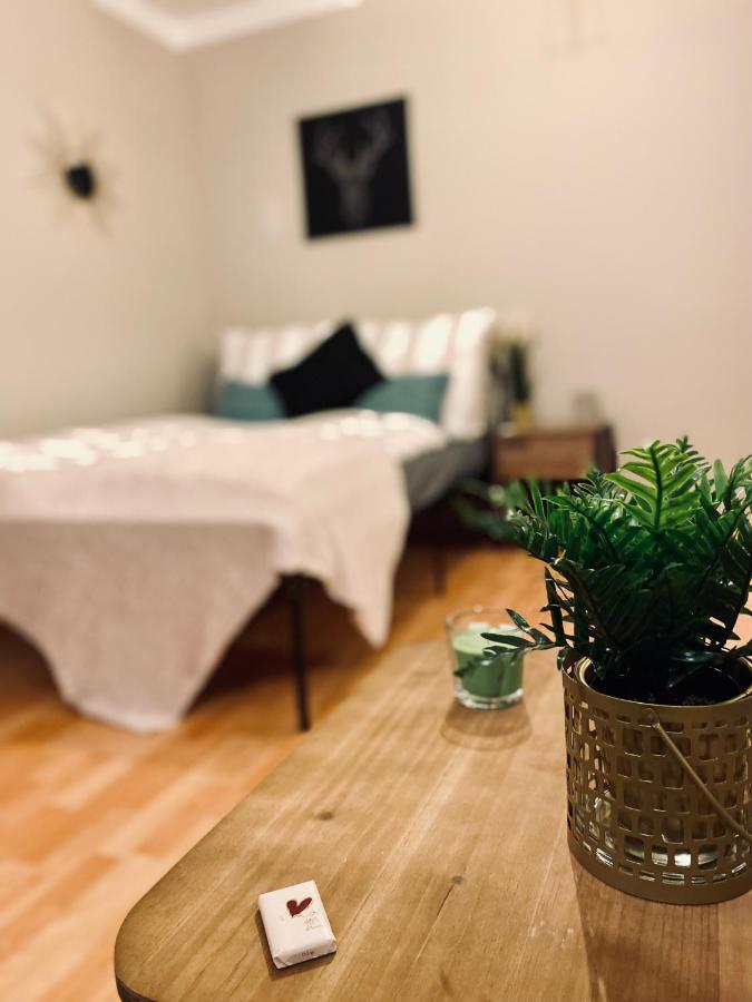 Saniertes Studio - Elisa - Mit Balkon, Wlan, Smart-Tv & Kueche In City-Naehe Erfurt Extérieur photo