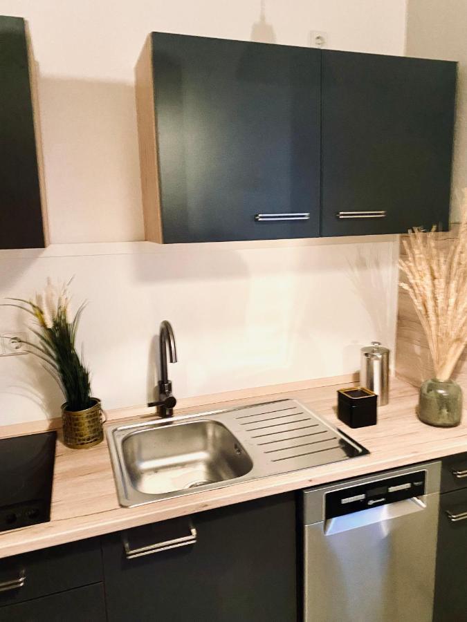Saniertes Studio - Elisa - Mit Balkon, Wlan, Smart-Tv & Kueche In City-Naehe Erfurt Extérieur photo